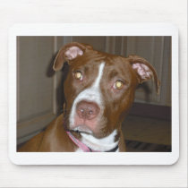 APBT American Icon & Family dog Mouse Pads