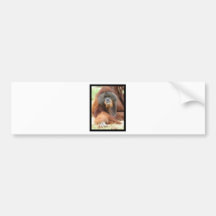 ape-5 bumper sticker