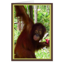 Ape for Watermelon Greeting Card