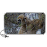 Ape Keeper Travel Speaker