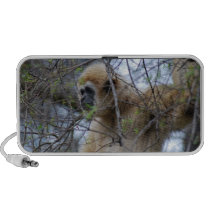 Ape Keeper Travel Speaker