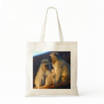 Apes family moments bag