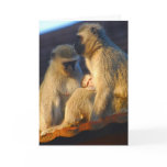 Apes family moments greeting card