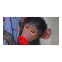 Apes for dummies customized photo card