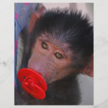 Apes for dummies full color flyer