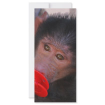 Apes for dummies rack card template