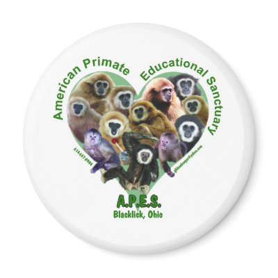 APES Goods for Good Magnet by PrimateEducation