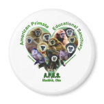 APES Goods for Good magnets