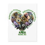 APES Goods for Good Post Card