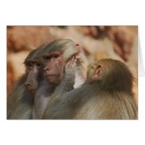 Apes hear no evil cards