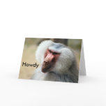 Apes Howdy cards