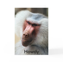 Apes Howdy Cards