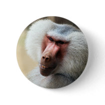 Apes Howdy Pins