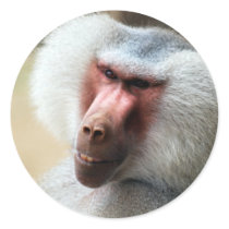 Apes Howdy Stickers