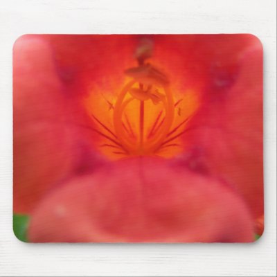 Aphids on Orange Trumpet Vine Flower Mousepad by talaglenexotics