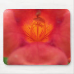 Aphids on Orange Trumpet Vine Flower mousepads