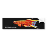 Aphyosemion Australe Killifish Bumper Sticker bumper stickers
