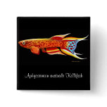 Aphyosemion australe Killifish Pin buttons