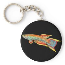 Aphyosemion lefiniense Killifish Keychain