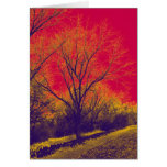 Apocalyptic cards