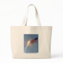 Apollo 11 Launch July 16, 1969 Bag