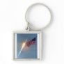 Apollo 11 launch, with flag, NASA Key Chains