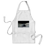 Apollo 17 Astronaut and Vehicle on the Moon Aprons
