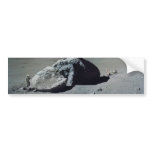 Apollo 17 Astronaut and Vehicle on the Moon Bumper Sticker