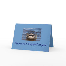 apology greeting cards