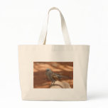 Apostlebird Canvas Bags