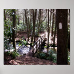 Appalachian Trail bridge at Laurel Fork Tennessee