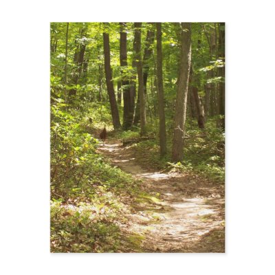 Appalachian trail turkey postcard by ak6003