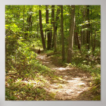 appalachian trail wild turkeys print