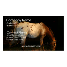 Appaloosa Business Card