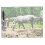 Appaloosa Eating Hay Dry-Erase Board
