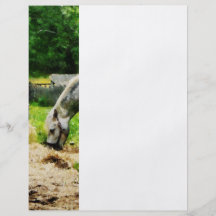 Appaloosa Eating Hay Full Color Flyer