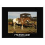 Appaloosa Horse Equine Animal Photo Art  Print