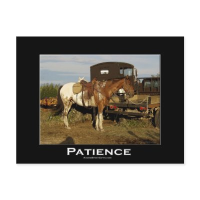 Appaloosa Horse Equine Motivational Art Card Postcard by HANDPRINTS