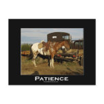 Appaloosa Horse Equine Motivational Art Card postcards