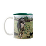Appaloosa horses mug