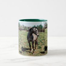Appaloosa horses mug