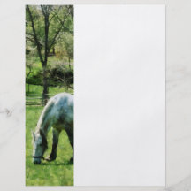 Appaloosa in Pasture Flyers