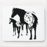 Appaloosa Mare and Foal