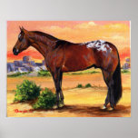 Appaloosa Profile Horse Portrait Print