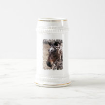 Appaloosa Stallions Beer Stein Mugs