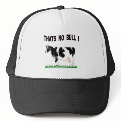 APPAREL TRUCKER HAT by corndoggie