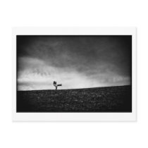 appendages on hill post cards