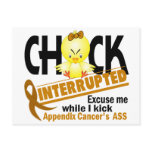Appendix Cancer Chick Interrupted 2
