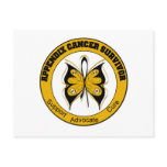 Appendix Cancer SURVIVOR Butterfly Post Cards