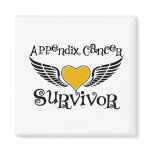 Appendix Cancer Survivor